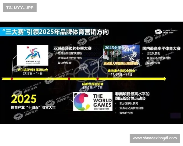 体育赛事服务(体育赛事专业咨询指南助您掌握最新动态与策略精华)