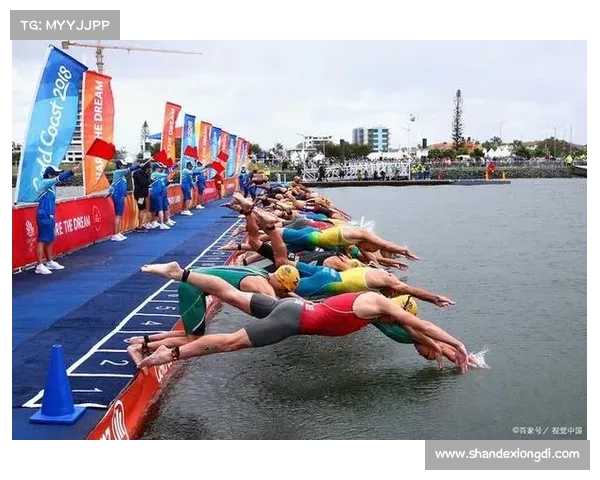 游泳全国有哪些赛事项目